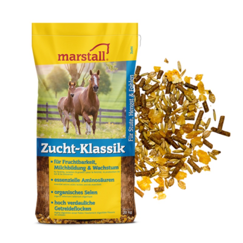 Marstall Zucht-Klassik | Landfuxx Lennards